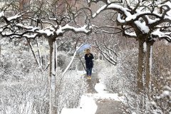 石家庄、沧州及以南葡京赌博网站地区有中雪或雨夹雪天气
