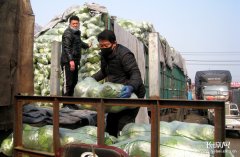 市场的供应葡京赌博官网完全没问题